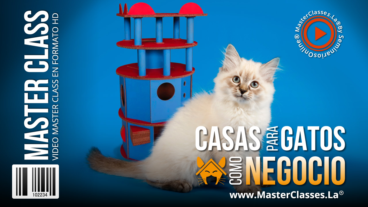 Casas para Gatos como Negocio